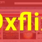 9xflix com website and movies library.