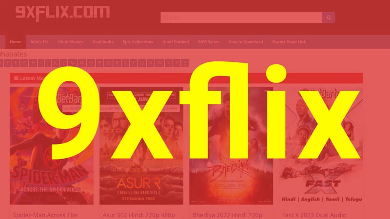 9xflix com website and movies library.