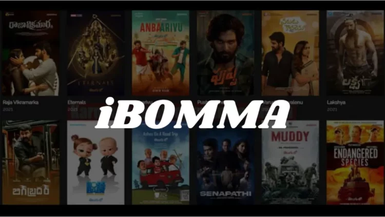 Discover the best movies to watch on Ibomma, including action, romance, and comedy films!