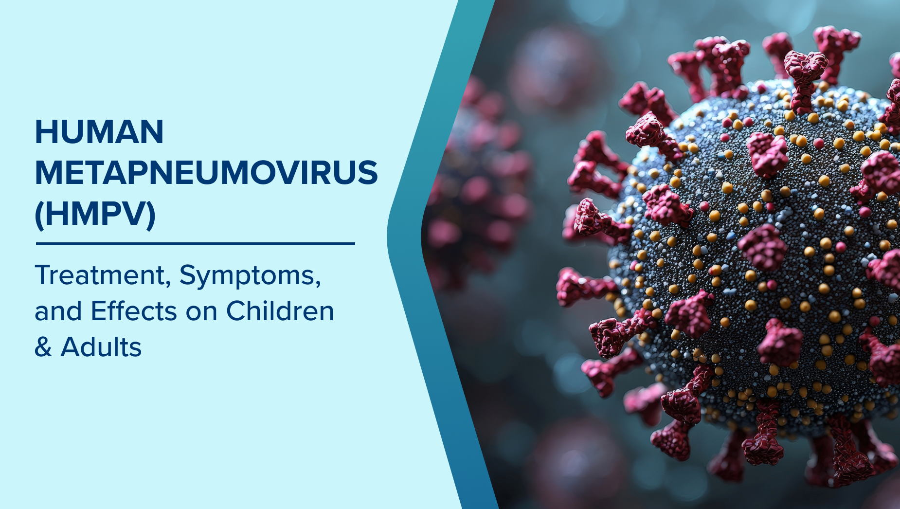 HMPV Virus: India Confirms 3 Cases; What Are the Symptoms?